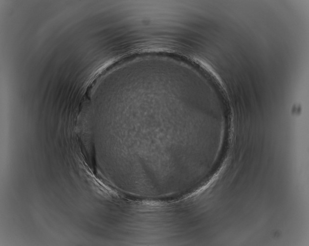 X0000090730777200708031522