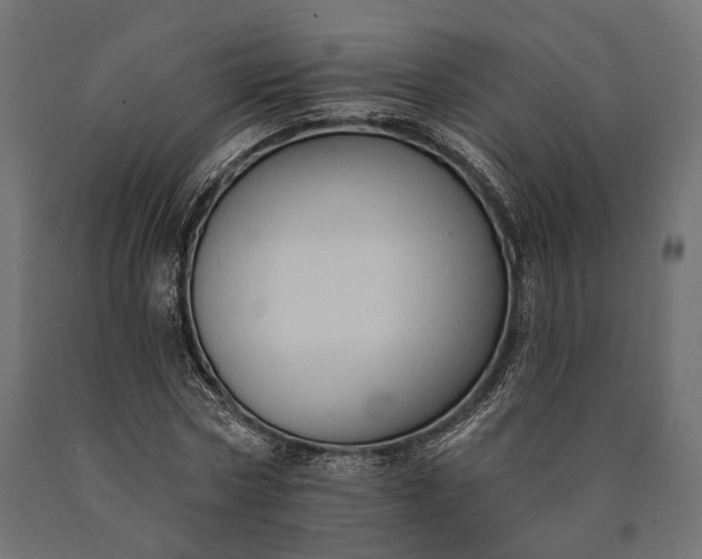 X0000090730778200708031522