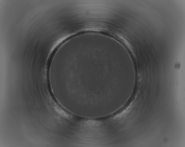 X0000090730779200708031522