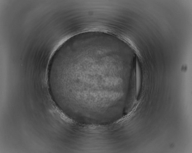 X0000090730780200708031522