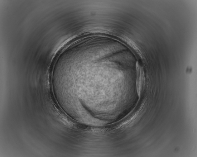 X0000090730782200708031522