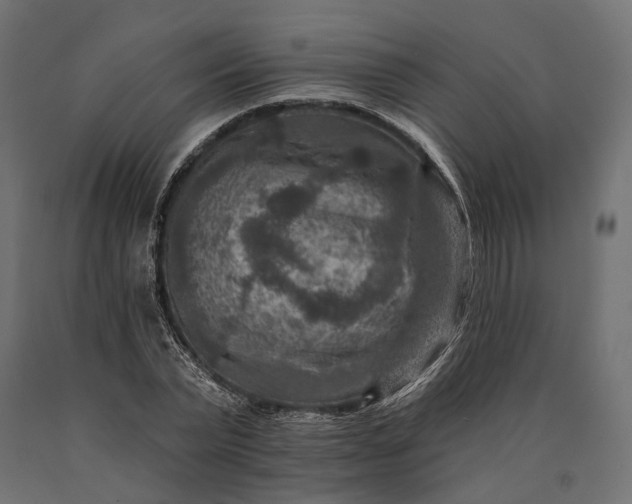 X0000090730783200708031522