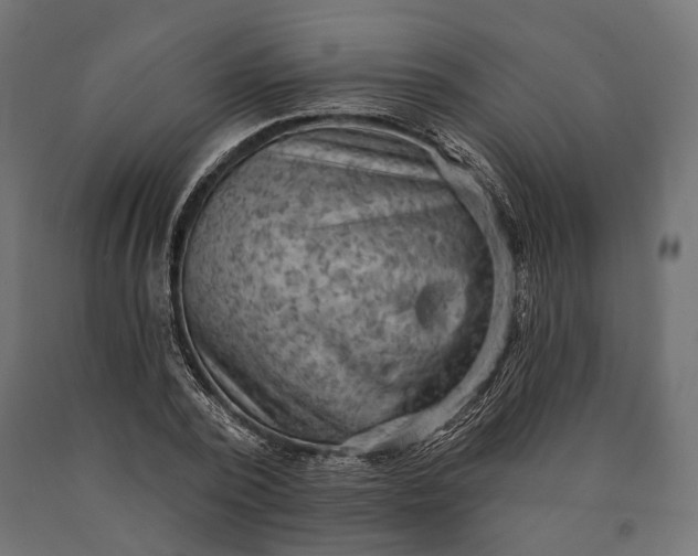 X0000090730784200708031522