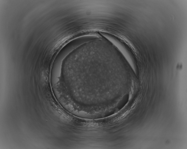 X0000090730785200708031522