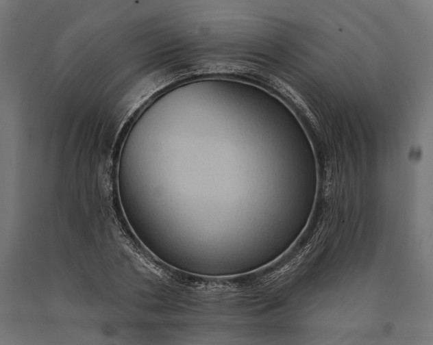 X0000090730786200708031522