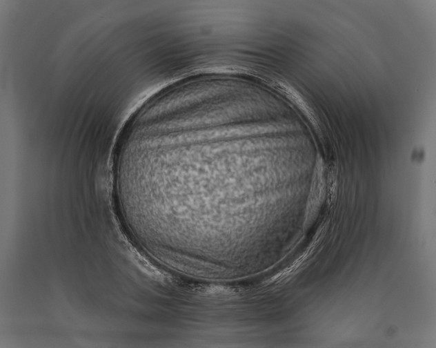 X0000090730787200708031522