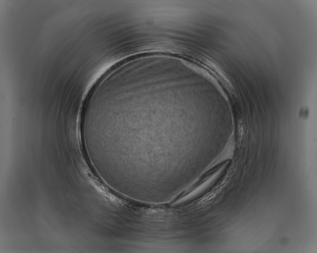 X0000090730788200708031522