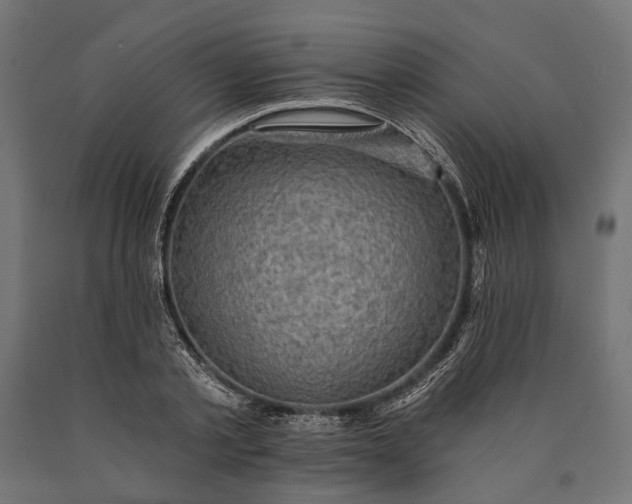 X0000090730789200708031522