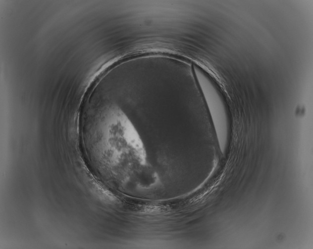 X0000090730790200708031522