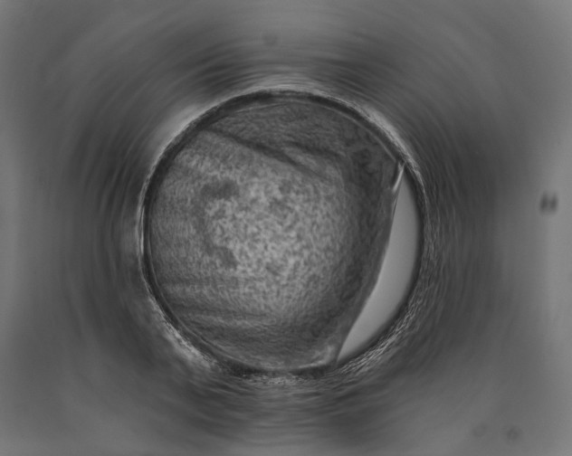 X0000090730791200708031522