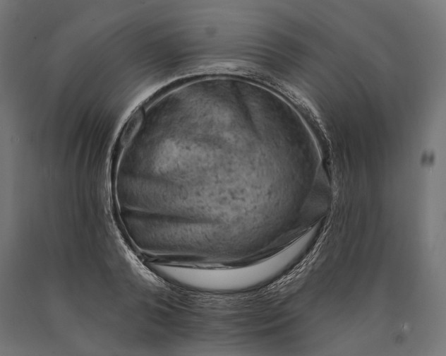 X0000090730792200708031522