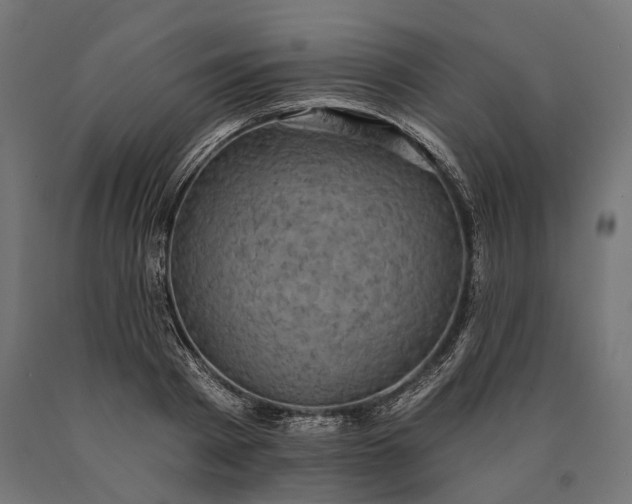 X0000090730793200708031522