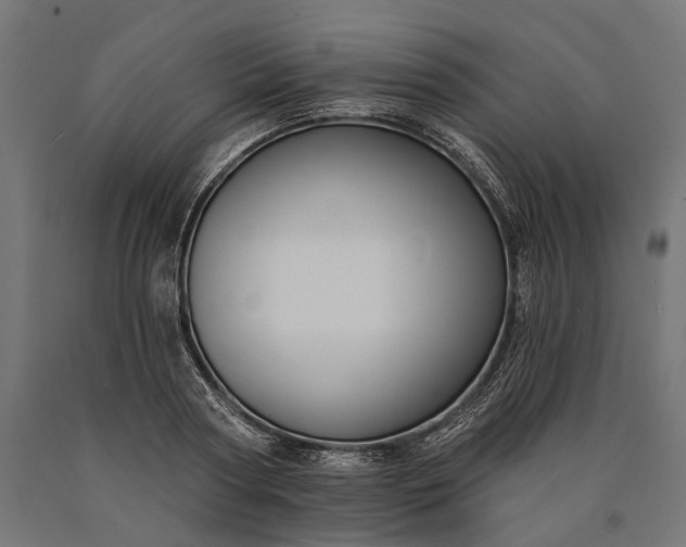 X0000090730794200708031522