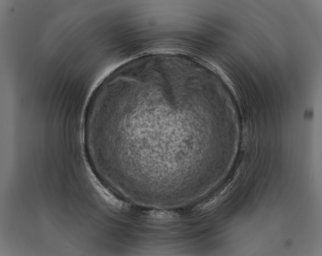 X0000090730795200708031522