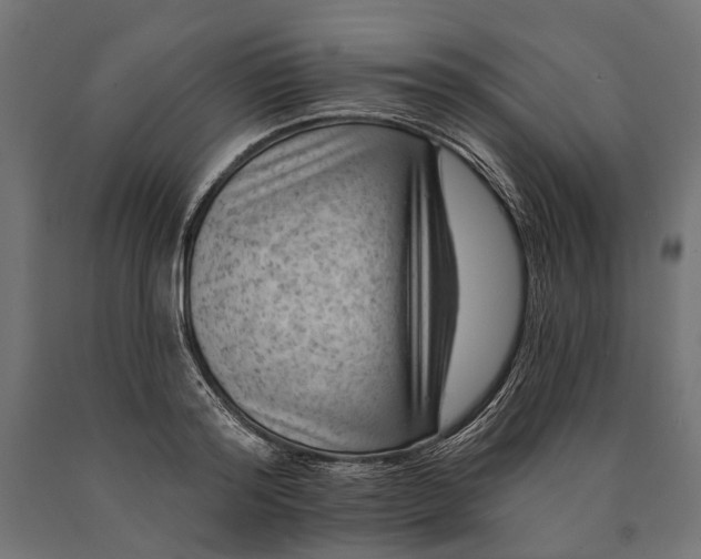 X0000090730796200708031522