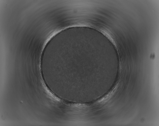 X0000090730797200708031522