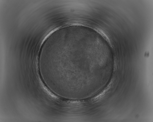 X0000090730798200708031522