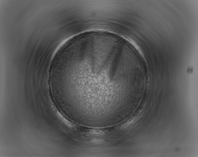 X0000090730799200708031522