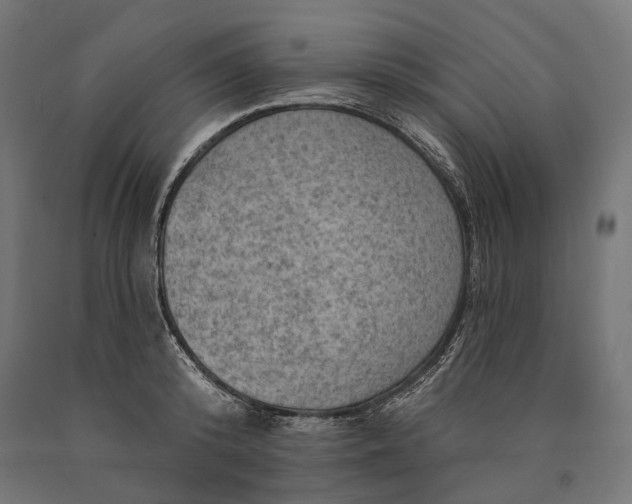 X0000090730800200708031522