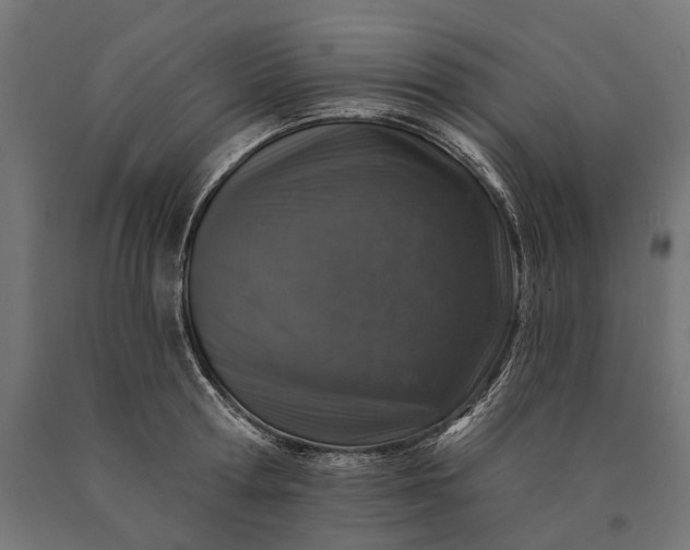 X0000090730802200708031522