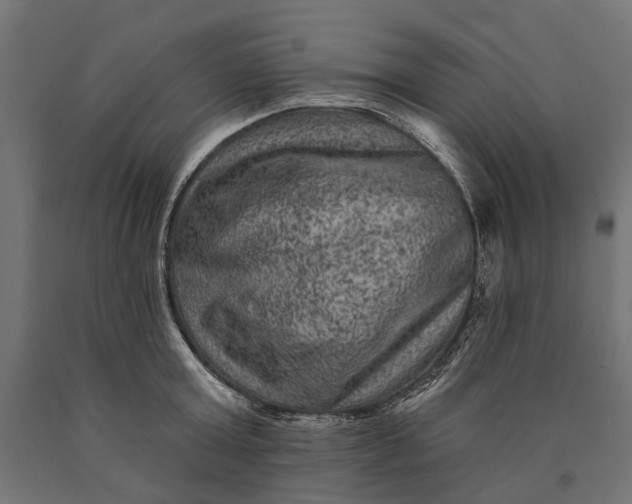 X0000090730803200708031522