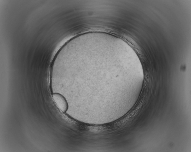 X0000090730804200708031522