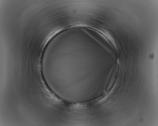 X0000090730806200708031522