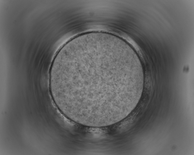 X0000090730807200708031522