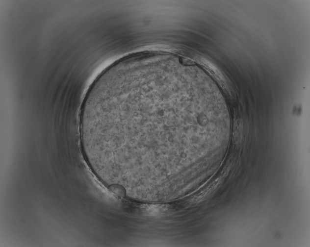 X0000090730808200708031522