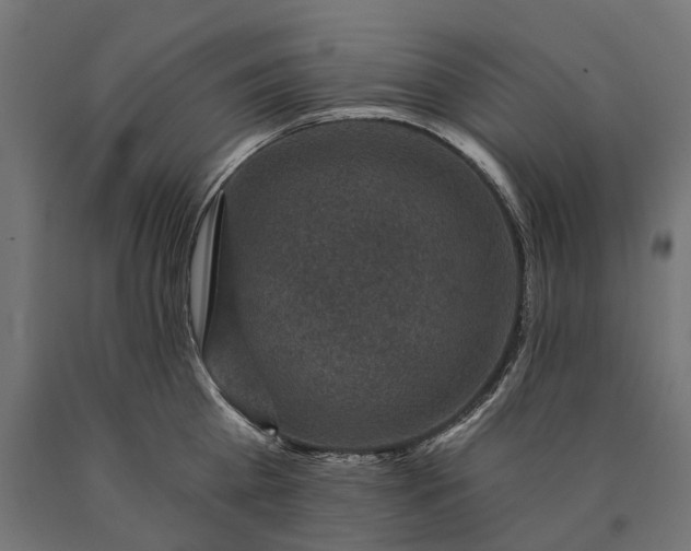 X0000090730809200708031522