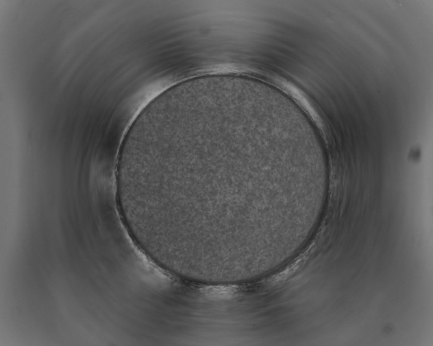 X0000090730810200708031522