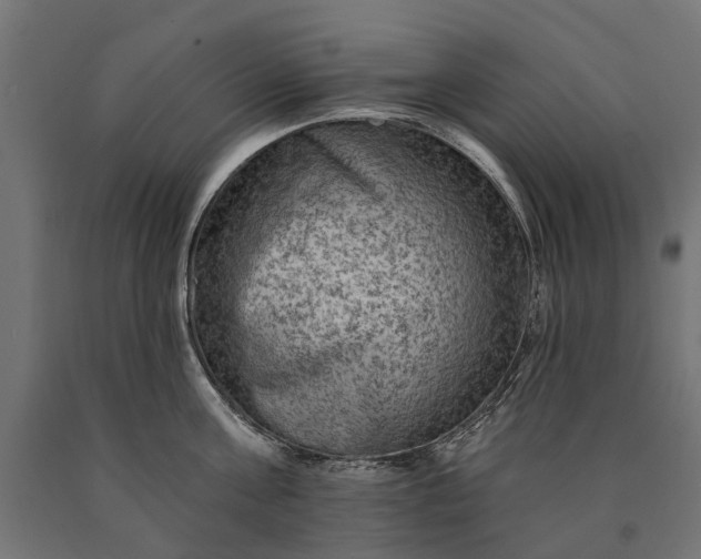 X0000090730811200708031522