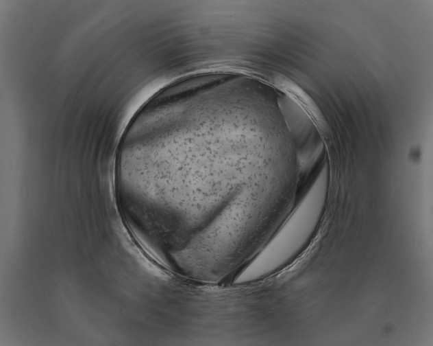 X0000090730812200708031522