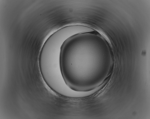 X0000090730813200708031522