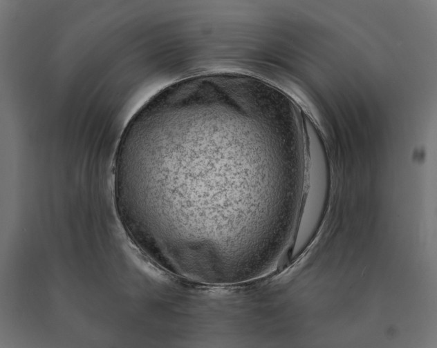 X0000090730814200708031522