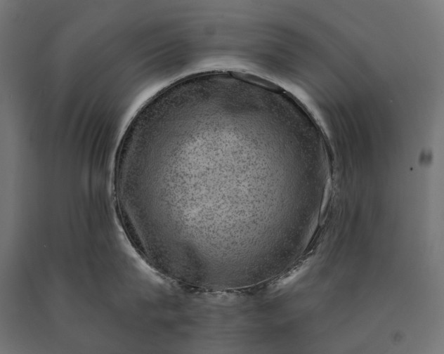 X0000090730815200708031522