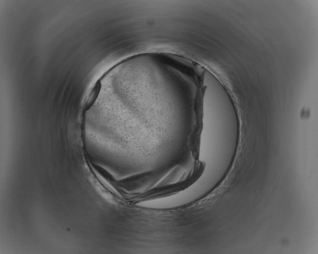 X0000090730816200708031522