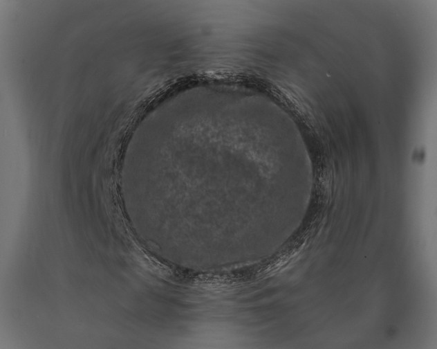 X0000090730817200708031521