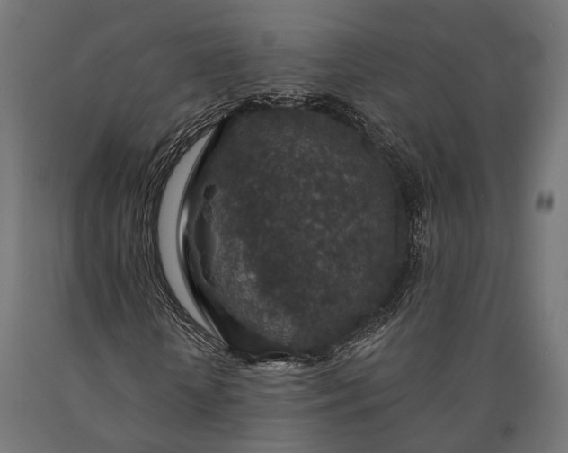 X0000090730818200708031521