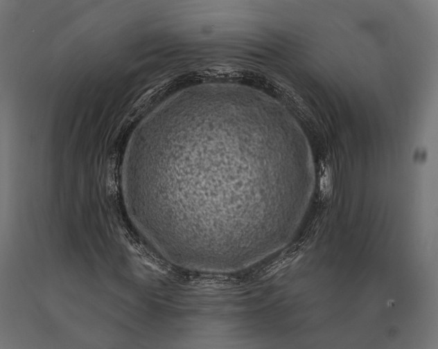 X0000090730819200708031521