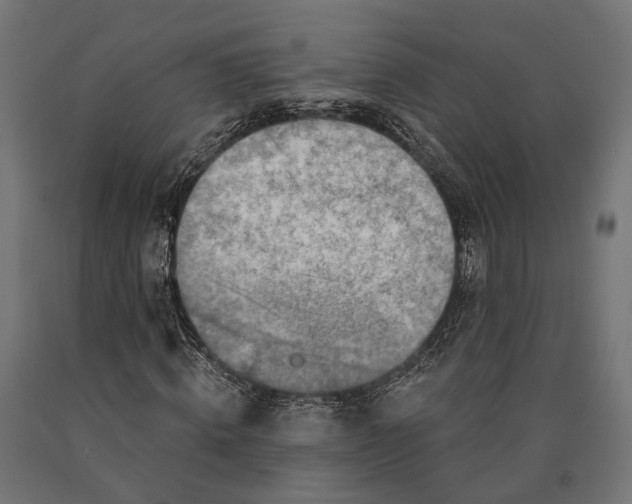 X0000090730820200708031521