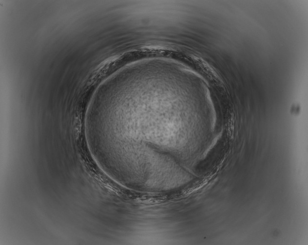 X0000090730821200708031521