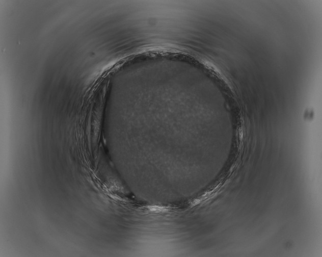 X0000090730822200708031521