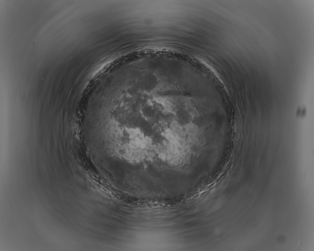 X0000090730823200708031521