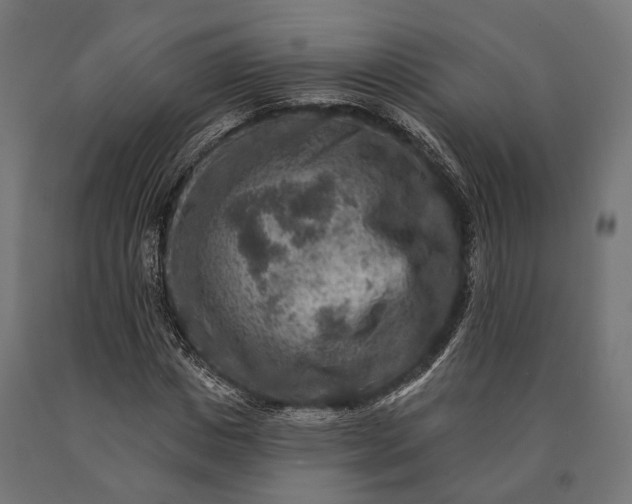 X0000090730825200708031521