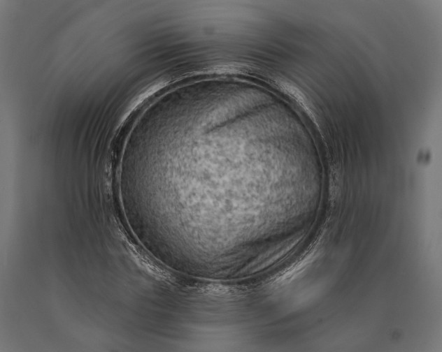 X0000090730827200708031521