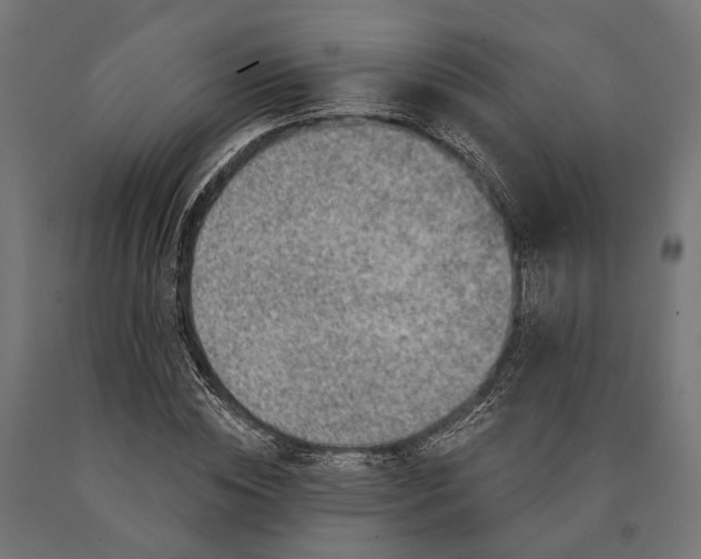 X0000090730828200708031521