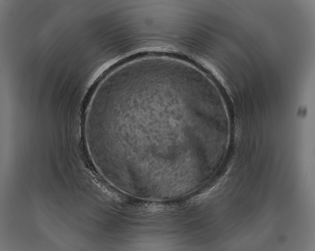 X0000090730829200708031521