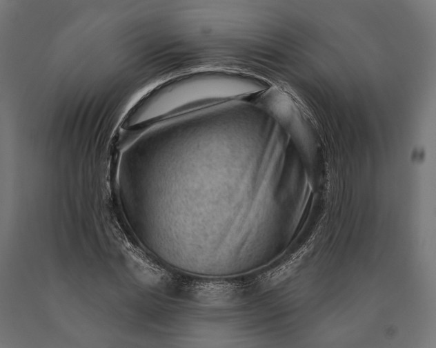 X0000090730830200708031521