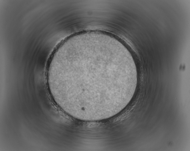 X0000090730832200708031521